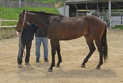 ������Ȱ ����