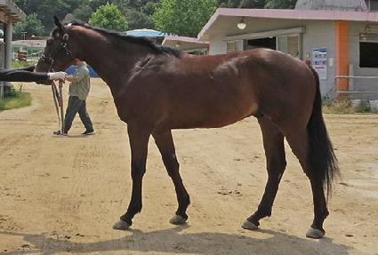 �轺ŷ ����