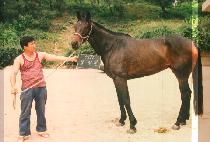 �޼�õ (DAL SUNG CHEUN) ����