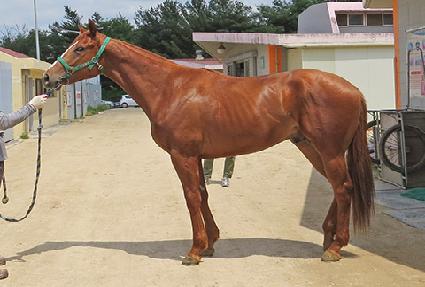 �ż����� ����