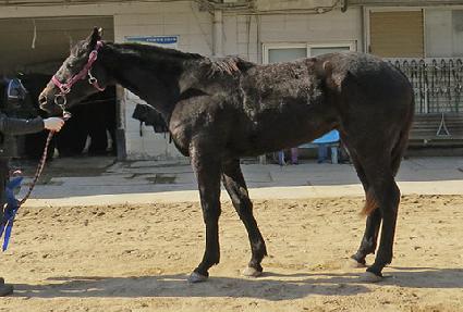 ���丮��Ʈ ����