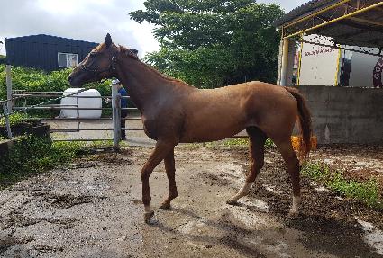 ���̸�ε� ����