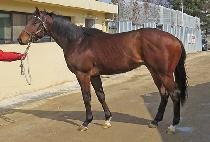 Ŭ��Ʈ���� (KLIMT WORLD) ����