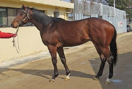 Ŭ��Ʈ���� ����