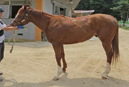 ��ȭ������ ����