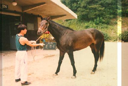 ĥ��� ����