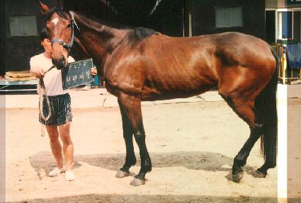 õ�⿩�� ����