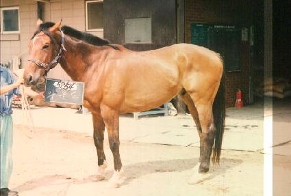 �Ϳ쵵 ����