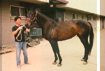 �������� (NANG NANG GONG JU) ����