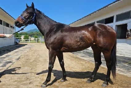 ��濩�� ����