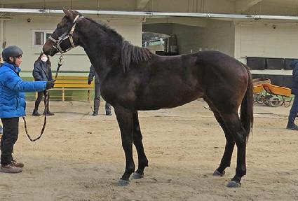 �ٿµ� ����