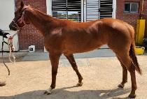 �ö��̰� (FLY GIRL) ����