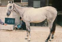 �ֿ�û (WHI YOUNG CHEUNG) ����