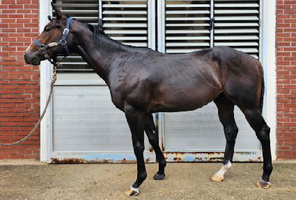 ���̿��� ����