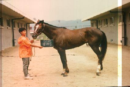 ��ī�� ����