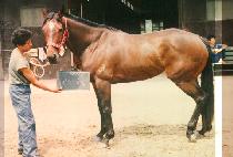 �̽������� (MISS SMILE) ����