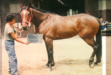 �̽������� ����