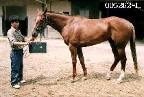 ���� (BEE HAK) ����