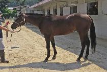 ��Ŭ�����Ŀ� (ECLAIR POWER) ����