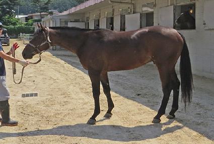 ��Ŭ�����Ŀ� ����