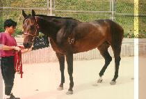 ���̿��� (MY WAY) ����