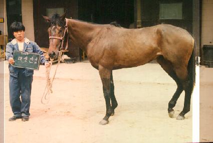 �뼺�꼺 ����