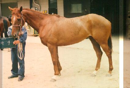 �ؼ� ����