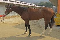 ���̿�¯ (I��M JJANG) ����