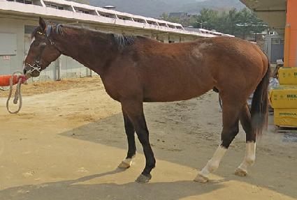 ���̿�¯ ����