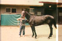 ������ (YOUNG WON CHO) ����