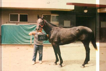 ������ ����