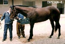 ������ (JI GOO RYEOK) ����