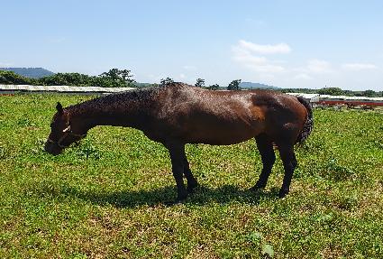 ��Ʈ���� ����