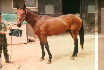 õ���� (CHEUN MOON DAE) ����