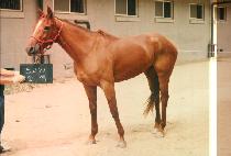 ���� (SOON HANG) ����