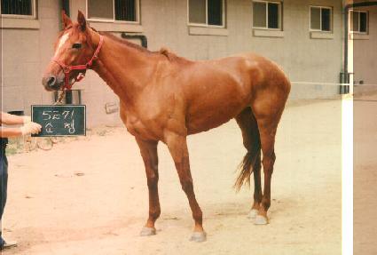 ���� ����