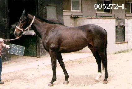 ������ ����