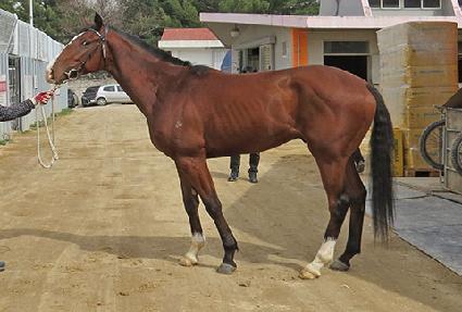 õ��ȣ���� ����