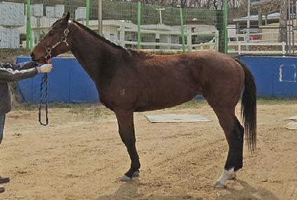 �������� ����