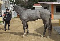 Ű�����Ϲ��� (KISS UNIVERSE) ����