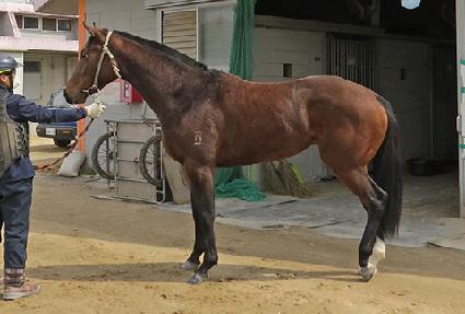 ��������轺 ����