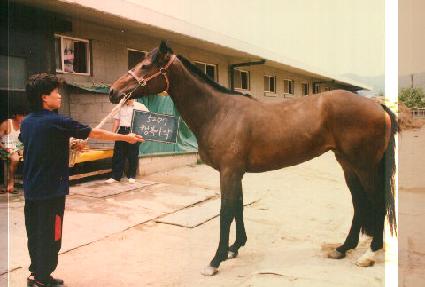 �ູ���� ����