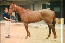 ������ (SOONG GOO LI) ����