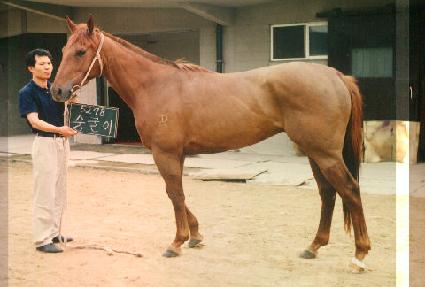 ������ ����