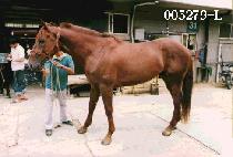 ���� (GOON JOO) ����