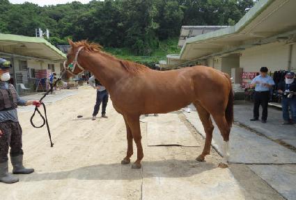 ������ ����