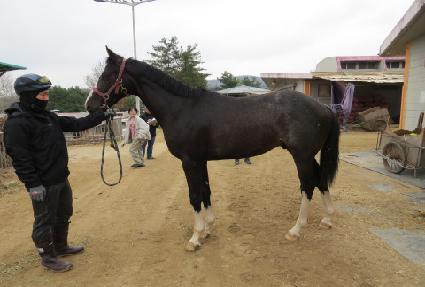 �Ŀ�Ǯ����Ʈ ����