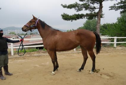 �Ŀ�Ǯ�� ����