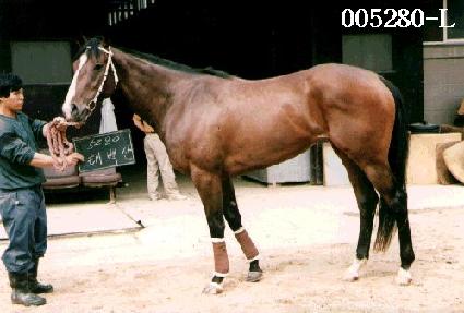 �¹�� ����