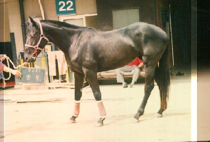 ǳ�� ����